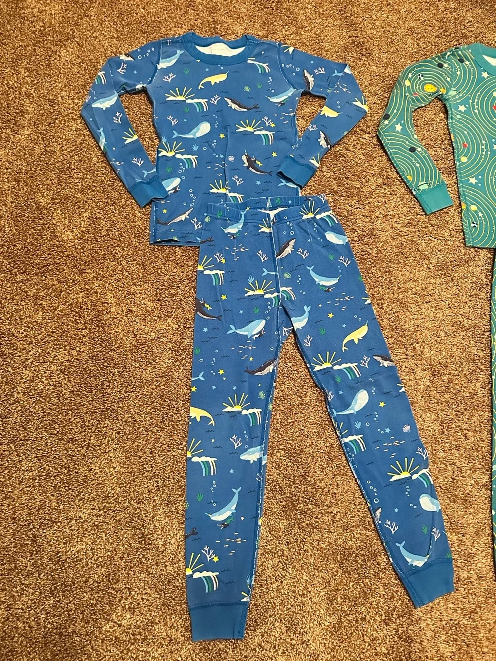 Bundle of 2 Pairs of Hanna Andersson Pajamas size 8